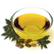 Jojoba Oil Skin Oasis Lotion Bar Ingredient